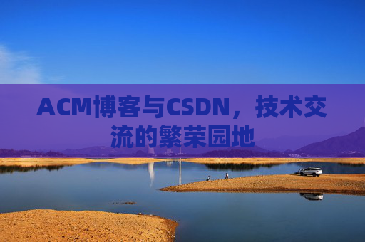 ACM博客与CSDN，技术交流的繁荣园地